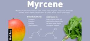 Myrcene Hailed as Miraculous Herbal Remedy to Address Sleep Issues
